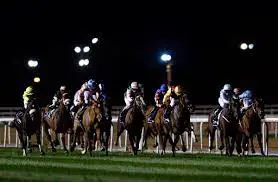 26th Dubai World Cup meeting attracts best in business